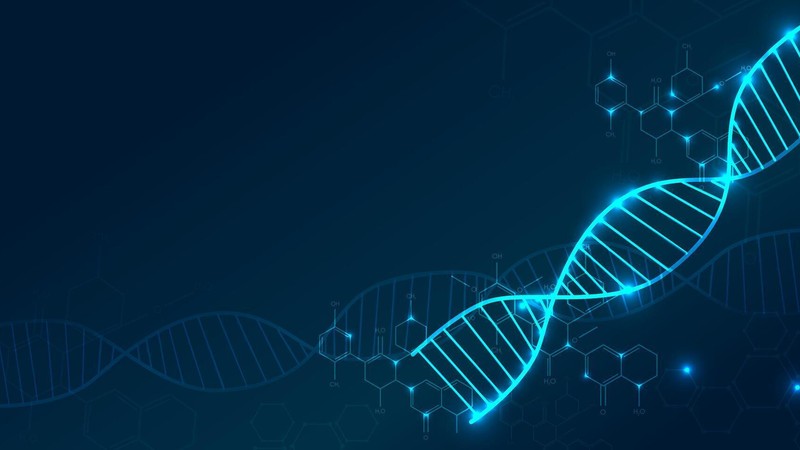 The AI Chip Wars: NVIDIA, AMD, Intel and Custom Silicon in 2026